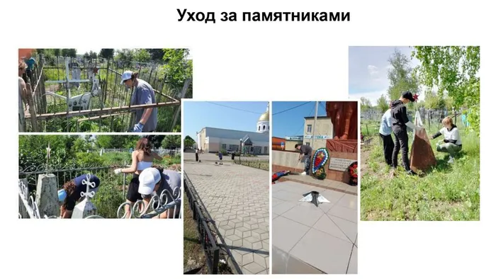для сайта 2_merged_compressed_organized_compressed_page-0001